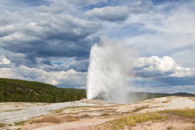 Eski sadık Şofben, Yellowstone Milli Parkı