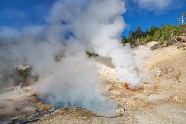 Mamut kaplıca, Yellowstone Milli Parkı