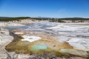 Mamut kaplıca, Yellowstone Milli Parkı
