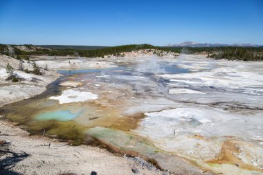 Mamut kaplıca, Yellowstone Milli Parkı