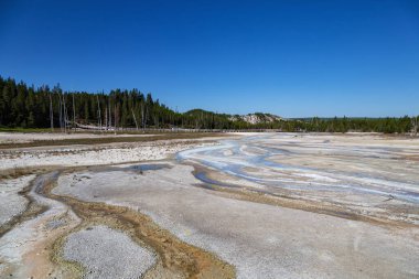 Mamut kaplıca, Yellowstone Milli Parkı