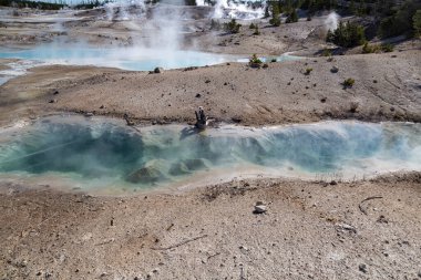 Mamut kaplıca, Yellowstone Milli Parkı