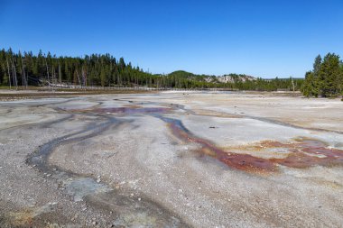 Mamut kaplıca, Yellowstone Milli Parkı