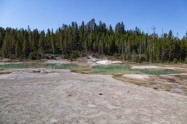 Mamut kaplıca, Yellowstone Milli Parkı