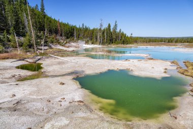 Mamut kaplıca, Yellowstone Milli Parkı
