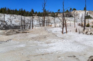 Mamut Kaplıcaları, Yellowstone Ulusal Parkı
