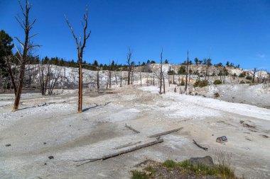 Mamut Kaplıcaları, Yellowstone Ulusal Parkı