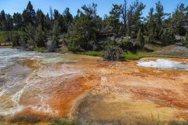 Mamut Kaplıcaları, Yellowstone Ulusal Parkı