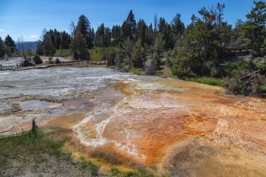 Mamut Kaplıcaları, Yellowstone Ulusal Parkı