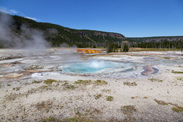Geyser Basin in Yellowstone National Park