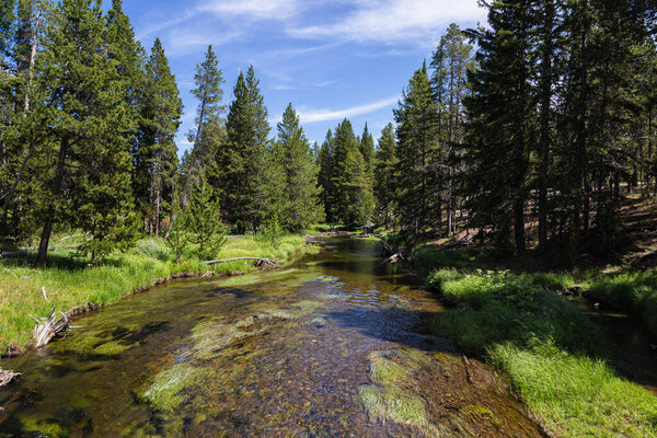 Yellowstone National Park in Wyoming