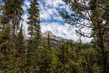 Grand Teton Ulusal Parkı