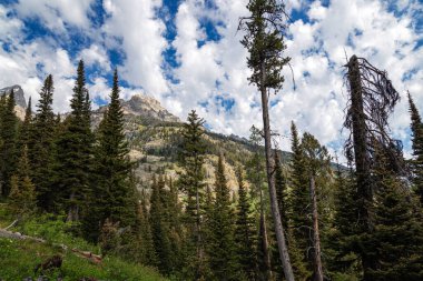 Grand Teton Ulusal Parkı