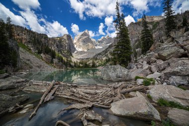Grand Teton Ulusal Parkı 'ndaki Delta Gölü