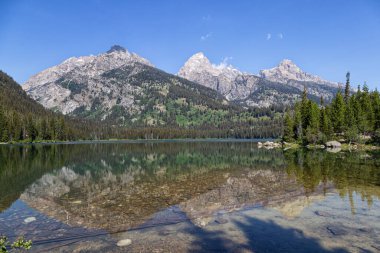 Grand Teton Ulusal Parkı