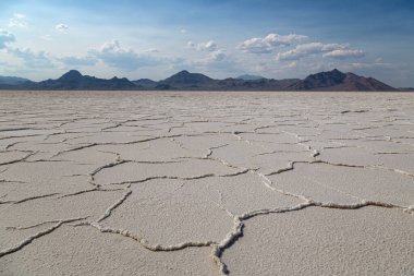 Bonneville tuz daireler Utah