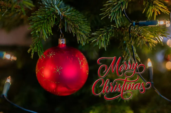 Mutlu Noeller ve mutlu yıllar.