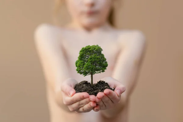 The Tree of Life. A little girl holds in her hands the clay from which the tree grows. Bare life in nature. Ecology.