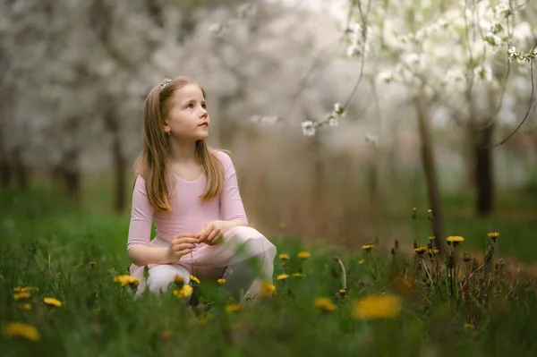 春天来了 大自然也醒来了 一个金发碧眼的姑娘在花木丛中 开花结果的白樱桃园 — 图库照片