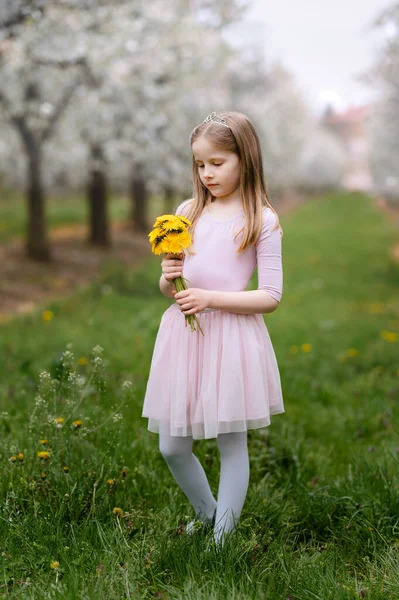 Tavaszi Tündér Egy Balerina Egy Virágzó Gyümölcsösben Gyönyörű Fehér Virágok — Stock Fotó