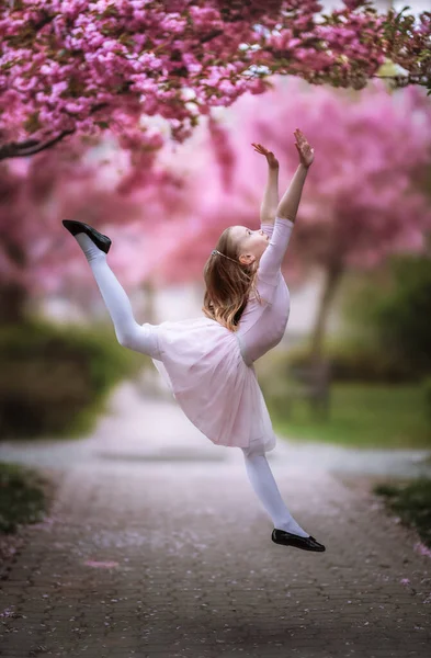 Princesa Rosa Una Pequeña Bailarina Bajo Los Árboles Rosados Sakura —  Fotos de Stock