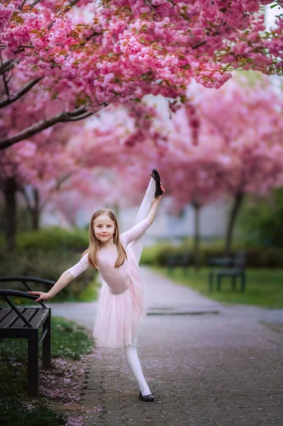 Princesa Rosa Una Pequeña Bailarina Bajo Los Árboles Rosados Sakura —  Fotos de Stock