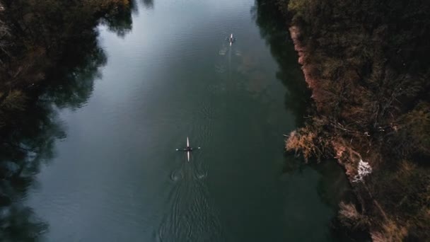 川の上の漕ぎ手の空中ビデオ映像 上から見たように — ストック動画