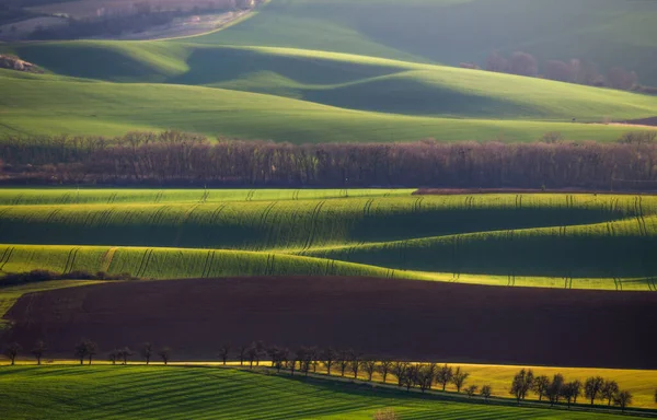 Prachtig Voorjaarslandschap Zonsondergang Toscane Landbouwlandschap — Stockfoto