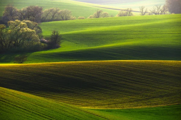 Amazing Scenery South Moravian Landscape Light Setting Sun Moravian Tuscany — Stock Photo, Image