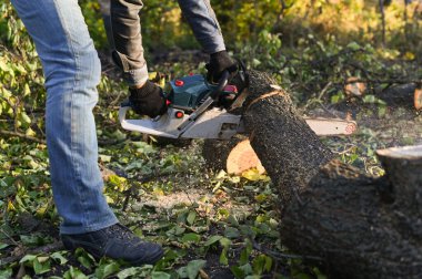 Tahta kesen elektrikli testere. Elektrikli testereyle ağaç kesen bir adam, yandan uçan talaş....