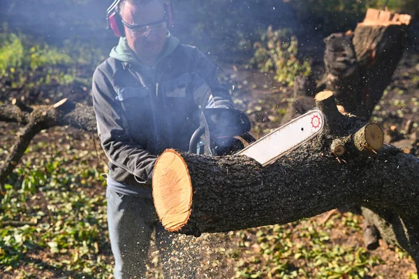 A man saws a tree with a chainsaw. Exhaust gases during the operation of the chainsaw.
