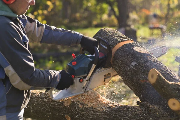 The process of sawing wood with a chainsaw