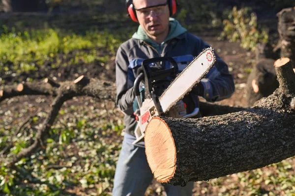 A man with a chainsaw. Work on sawing wood.