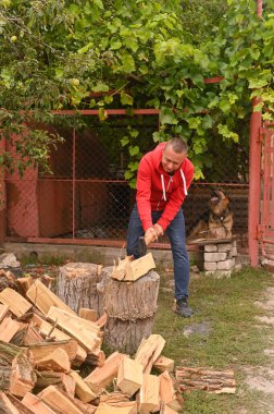 Bir adam odun kesiyor. Alternatif ısınma kaynakları. Genç adam baltayla odun kesiyor. dikey resim