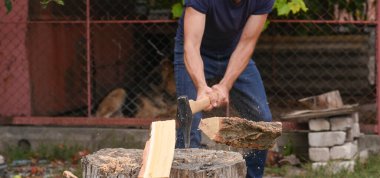 the logger's heavy axe cut the log into pieces. Parts of the log flew apart with wood shavings.
