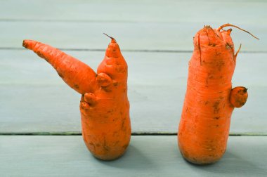 two strange carrot of an unusual shape. close-up