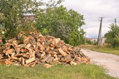 A pile of firewood is lying on the grass near the road.