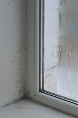 due to the increased humidity of the window, black mold appears on the wall