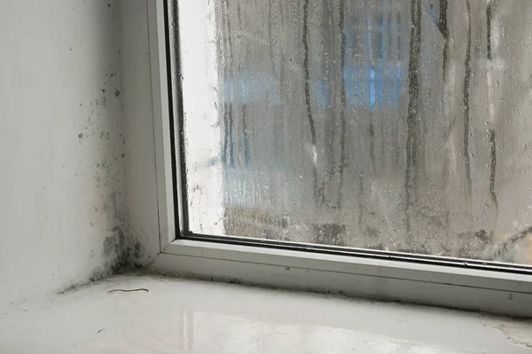 Wegen Des Feuchten Fensters Entstand Schwarzer Schimmel Der Wand — Stockfoto