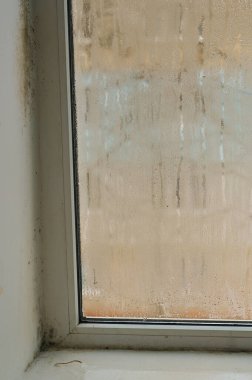Pencerenin yanındaki duvarda küf var.