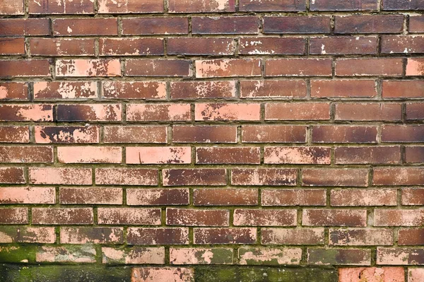 stock image an old brick wall. the paint peeled off. texture background.