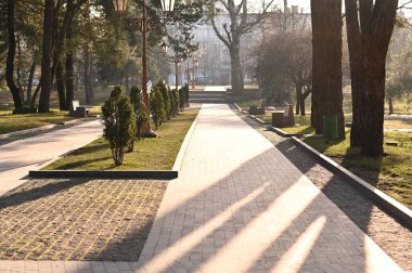 Parkta bir sokak, güneşli bir günde,