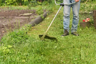 Bir adam arka bahçede elektrikli ya da benzin makası ile çim biçer. Bir çim biçme makinesiyle çim biçme işlemi.