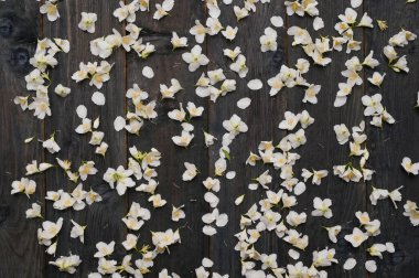 Yasemin çiçeklerinin arka planı ahşap bir arka planda.