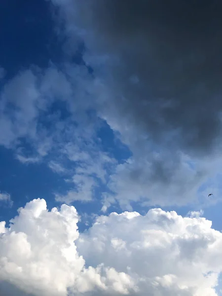 Háttér Gyönyörű Bolyhos Fehér Felhők Égen Egy Madár Repül — Stock Fotó