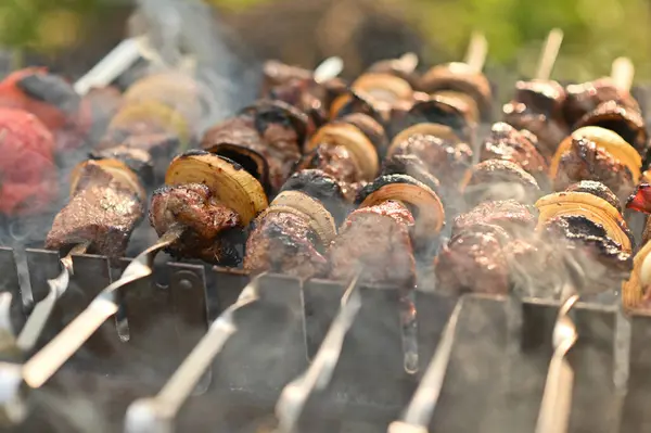 meat on skewers in a haze is cooked on the grill.