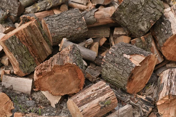 Рубленые Дрова Куче Приготовленные Зиму — стоковое фото