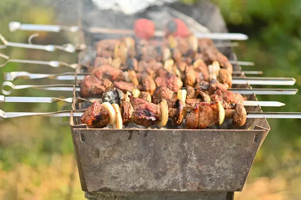 meat on skewers in a haze on the grill.