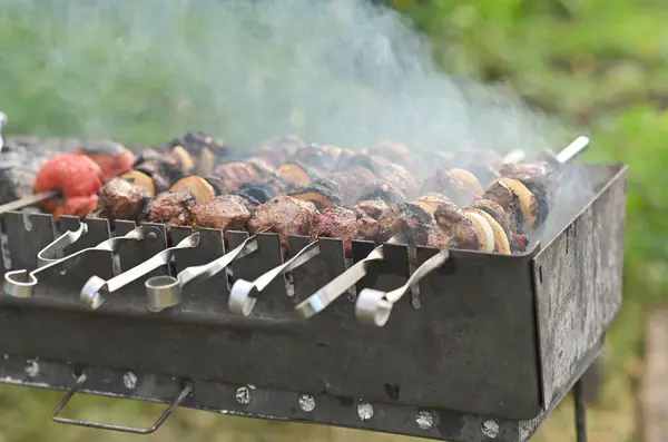 stock image Meat kebab cooked on a barbecue grill.
