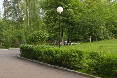 Güzel bir yeşil park. Yazın